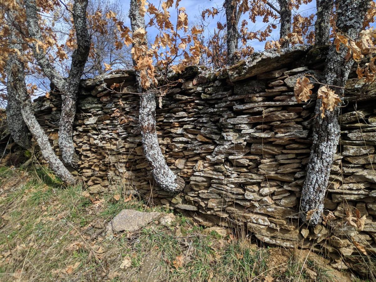 Casa Rural Fuente Del Arca Montejo モンテホ・デ・ラ・シエラ エクステリア 写真